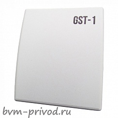 GST-1-NTC10K